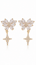 14K Gold Plated Butterfly & Star Drop Earrings – Cubic Zirconia