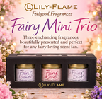 Lily-Flame Fairy Mini Tins Gift Set